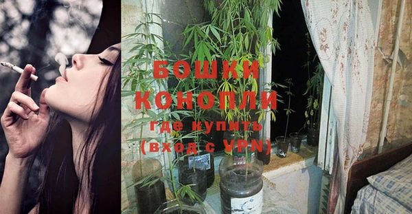 тгк Иннополис