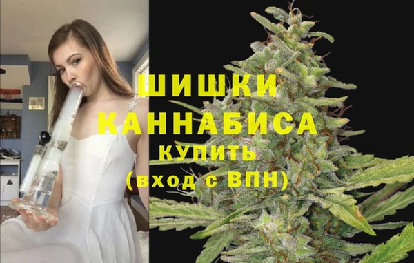 тгк Иннополис